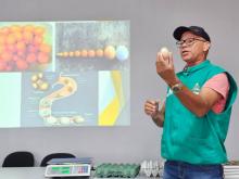 Prefeitura de Santana capacita avicultores sobre as boas práticas na produção de ovos Prefeitura de Santana capacita avicultores sobre as boas práticas na produção de ovos